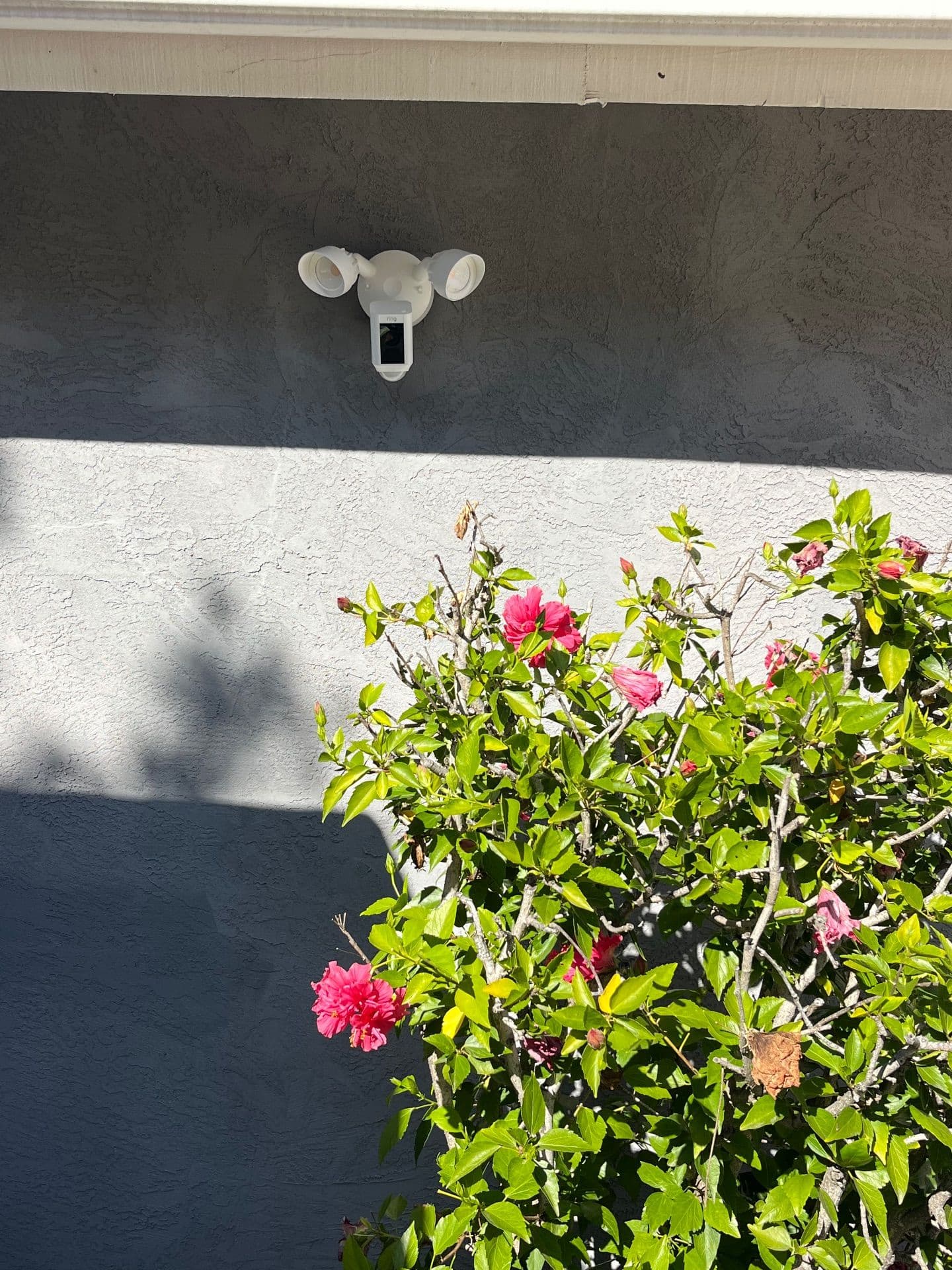 Gallery photos for Enhanced Home Security with Lighting and Cameras in San Diego: Image #3